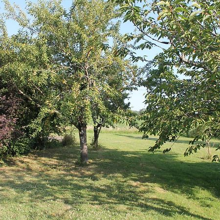 Suite Jomenisa Auriebat Bagian luar foto