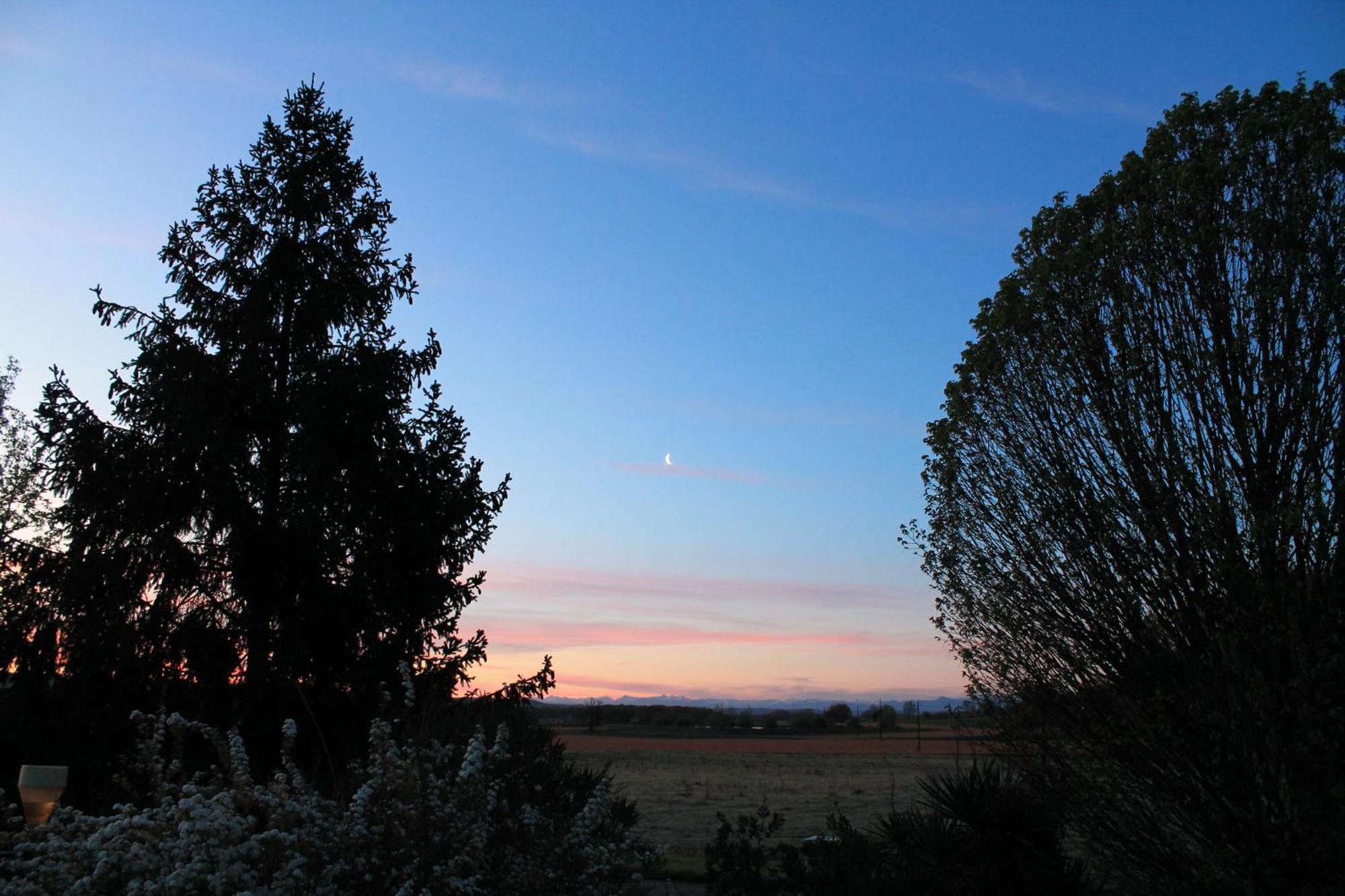 Suite Jomenisa Auriebat Bagian luar foto