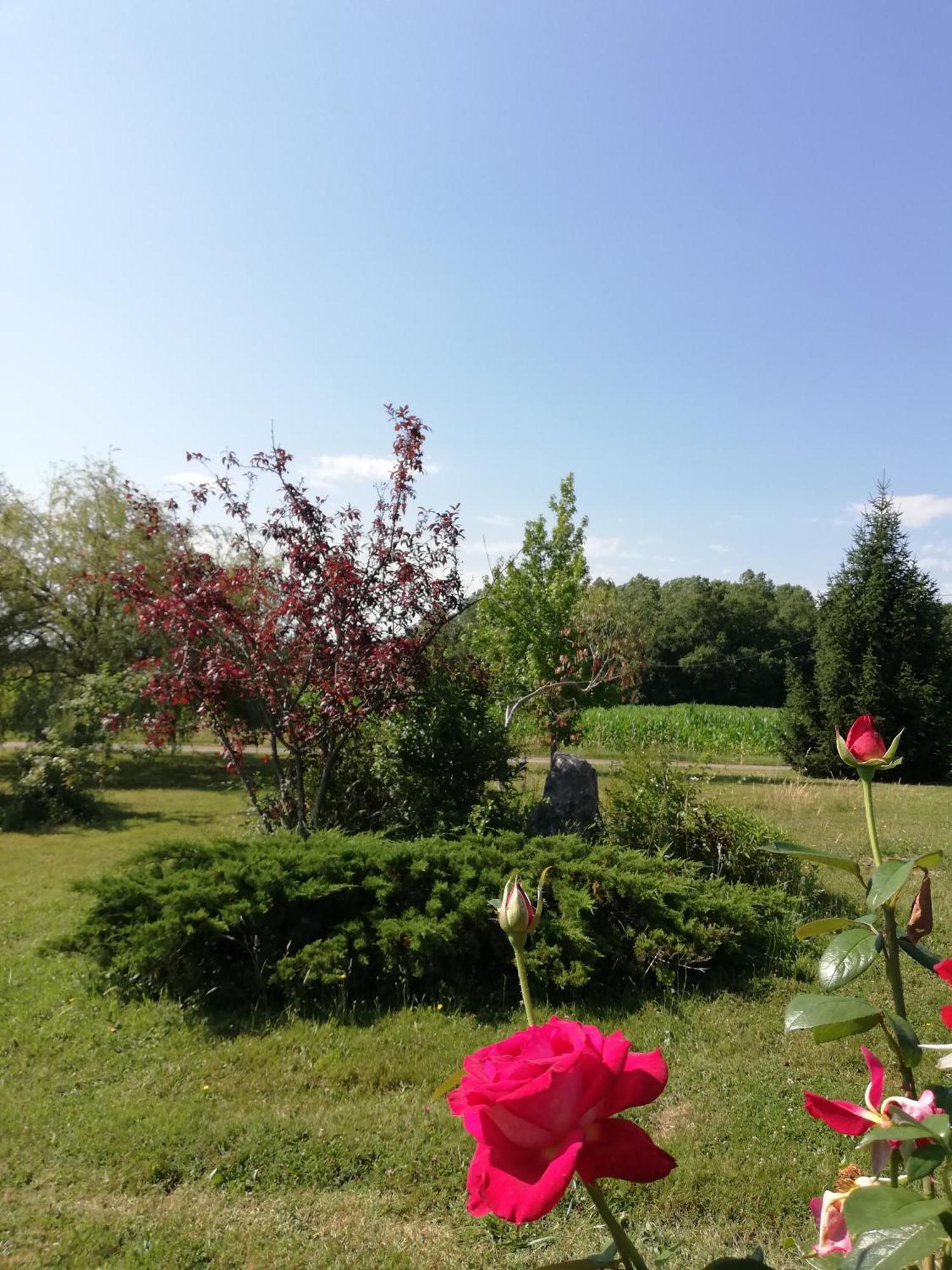 Suite Jomenisa Auriebat Bagian luar foto
